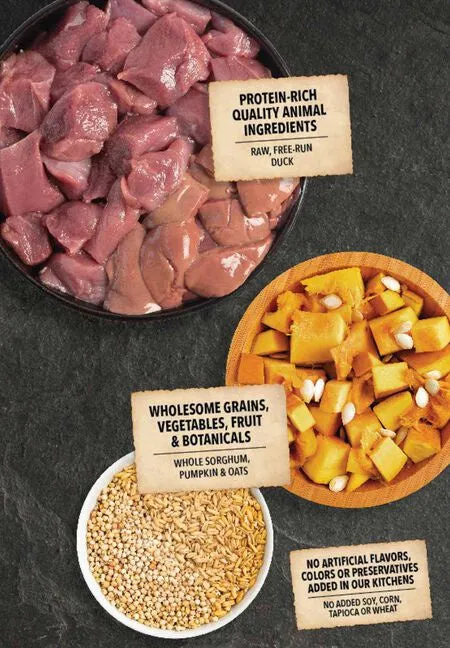 ACANA Singles   Wholesome Grains Limited Ingredient Diet Duck & Pumpkin Recipe Dry Dog Food