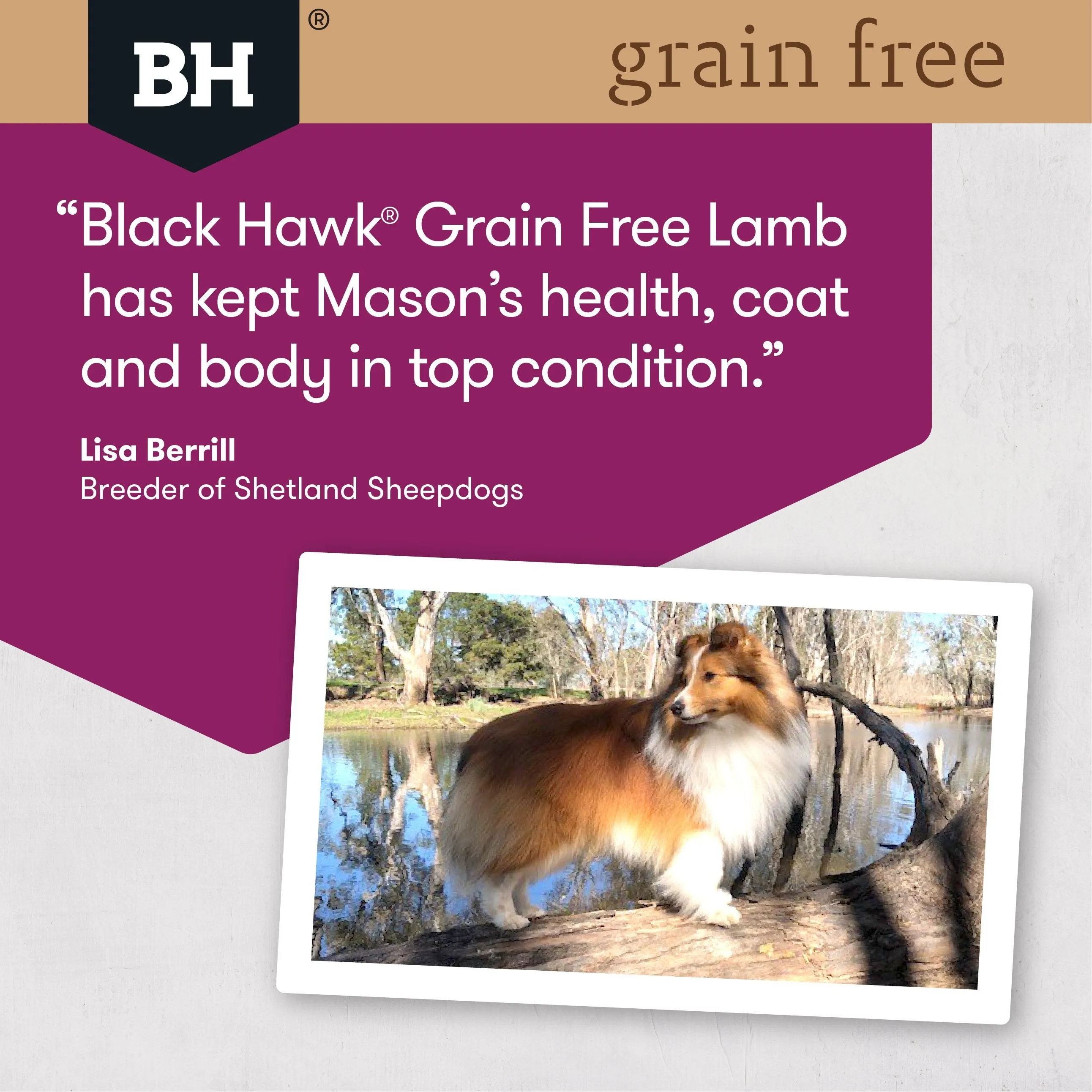 Black Hawk Grain Free Lamb Dry Dog Food 7kg