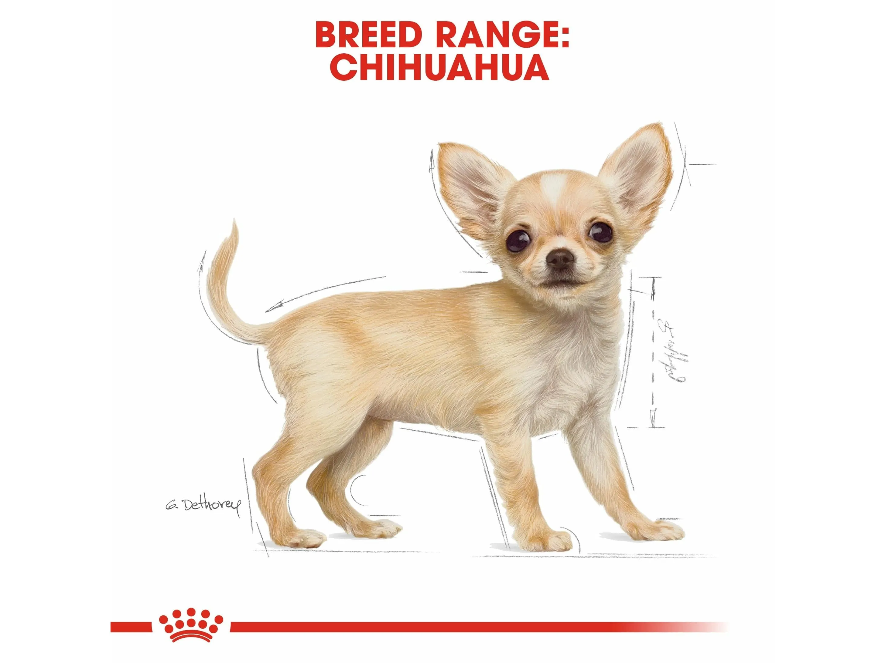 Breed Health Nutrition Chihuahua Puppy 1.5 Kg