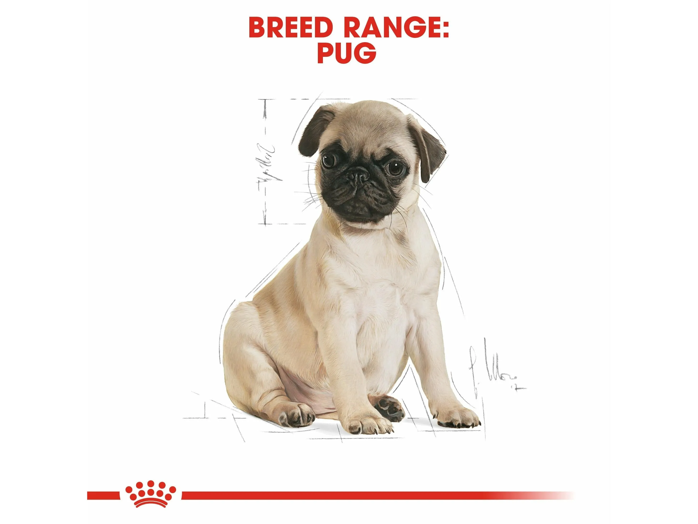 Breed Health Nutrition Pug Puppy 1.5 Kg