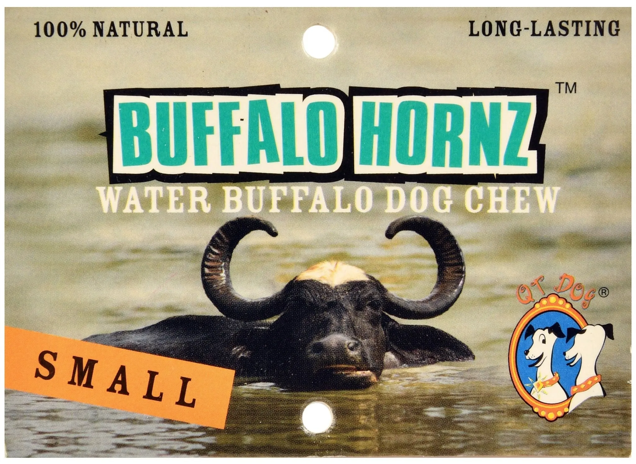 Buffalo Hornz