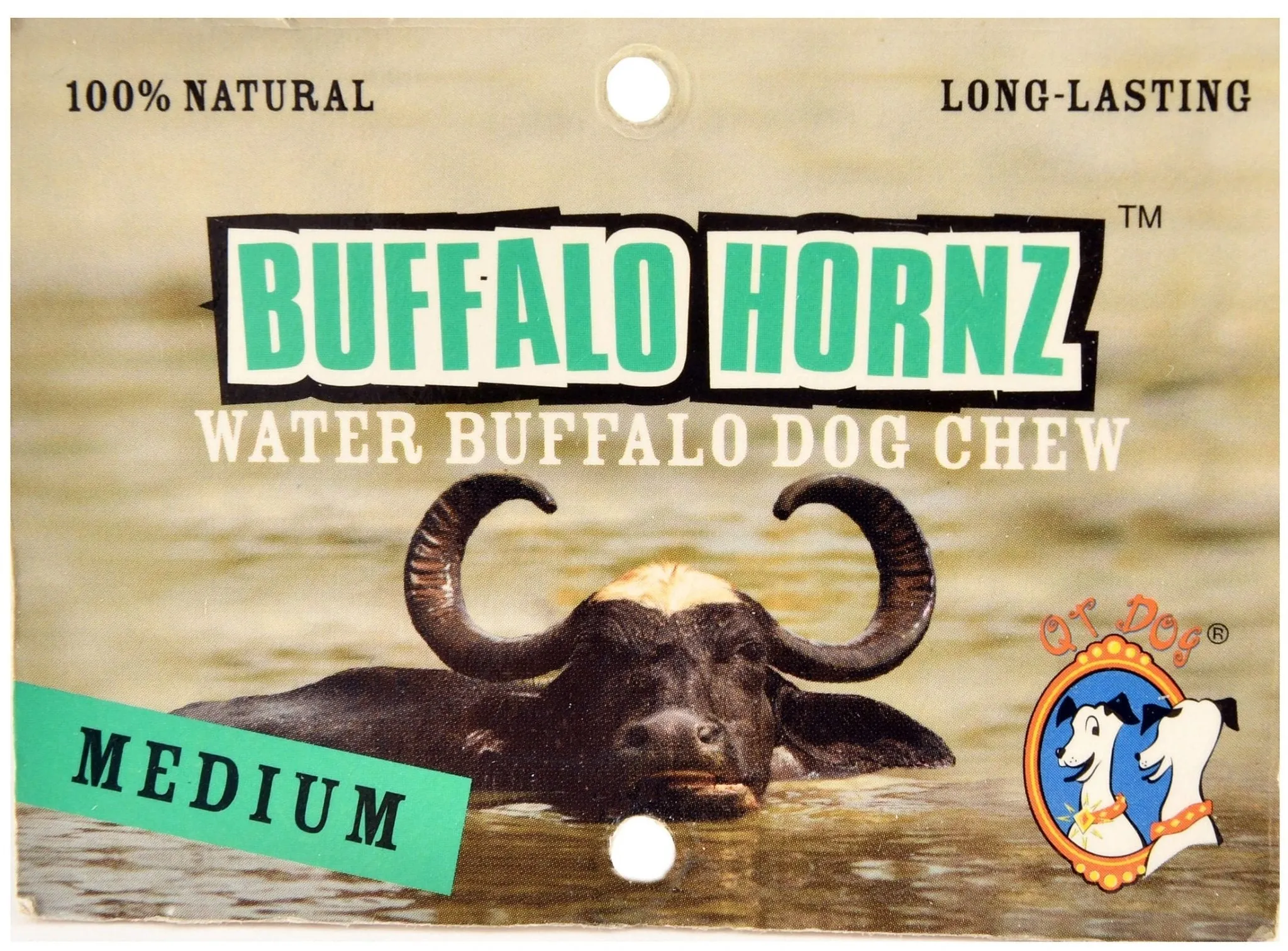 Buffalo Hornz