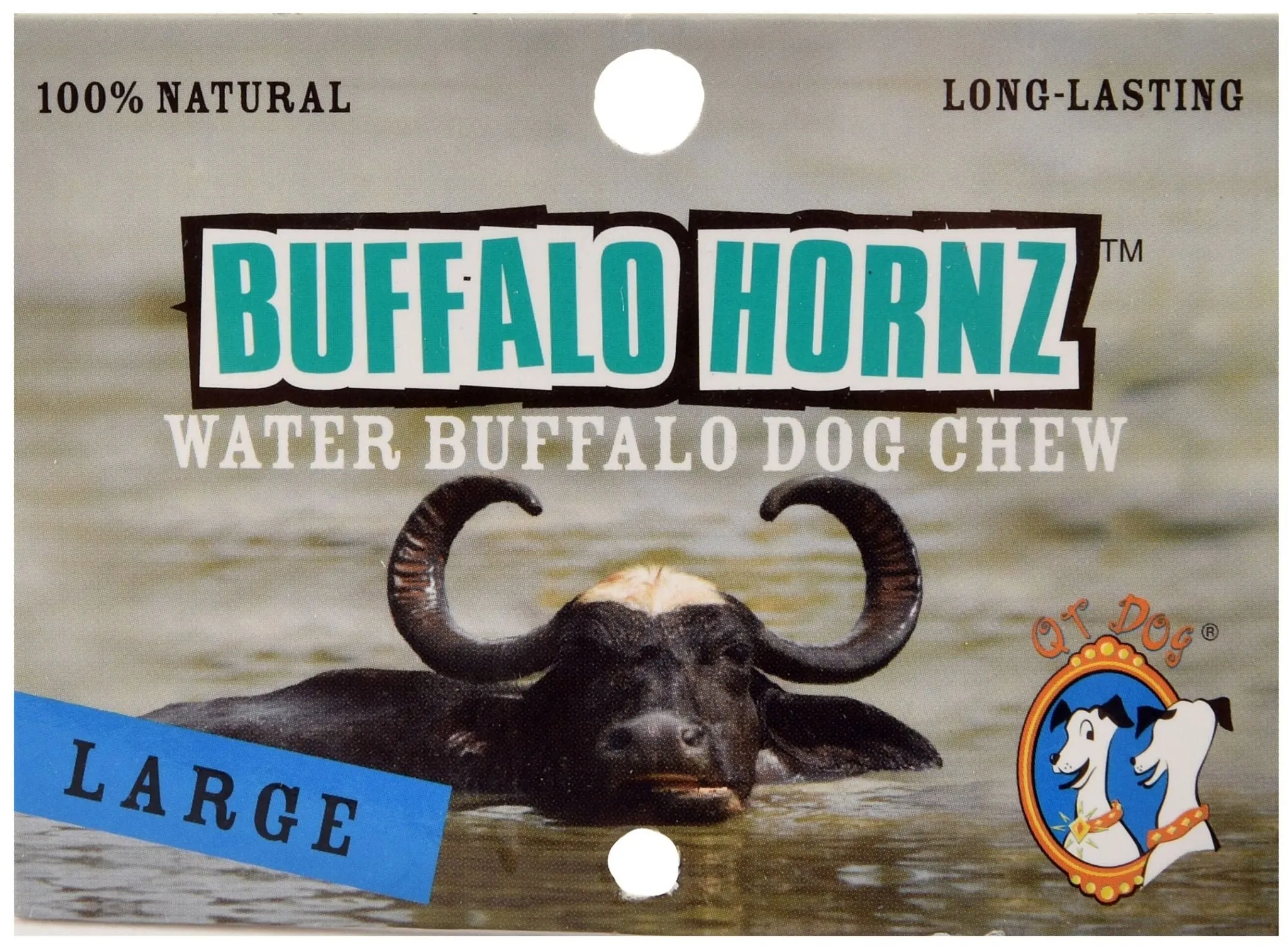 Buffalo Hornz