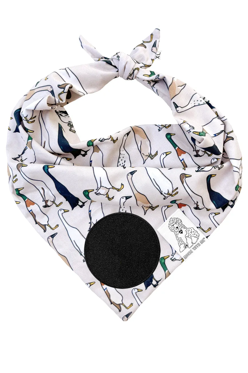 ★Dog Bandana Duck - Customize with Interchangeable Velcro Patches