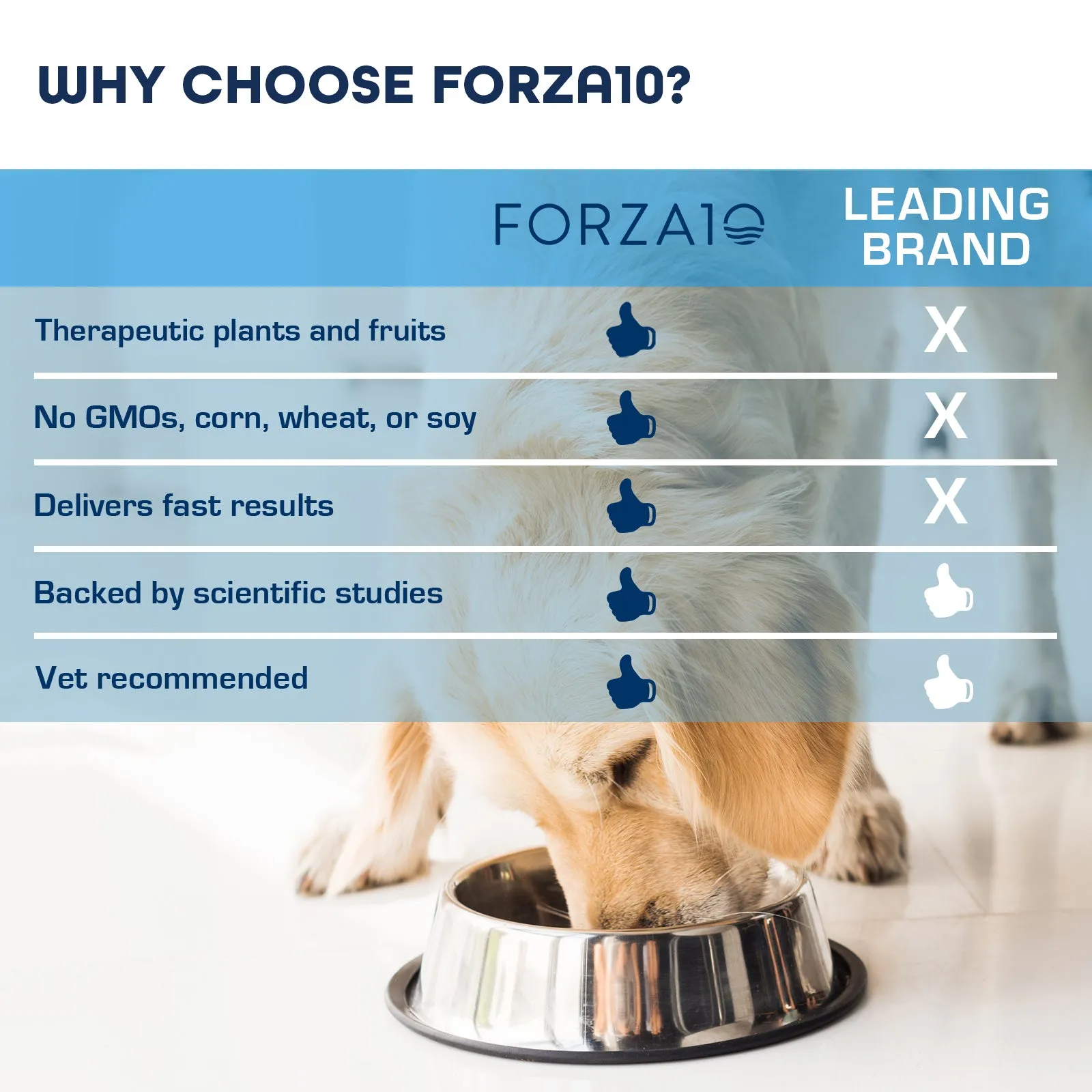 Forza10 Nutraceutic Sensitive Digestion Grain-Free Dry Dog Food