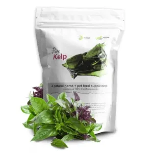 Herbal Pet Kelp Powder Supplement for Dogs