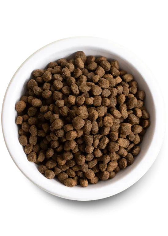 New Zealand Venison & Ancient Grains Dry Dog Food