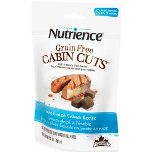 Nutrience Grain Free Cabin Cuts Maple Glazed Salmon Dog Treats 170g