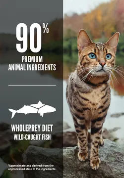 Orijen Six Fish Grain-Free Formula Dry Cat Food