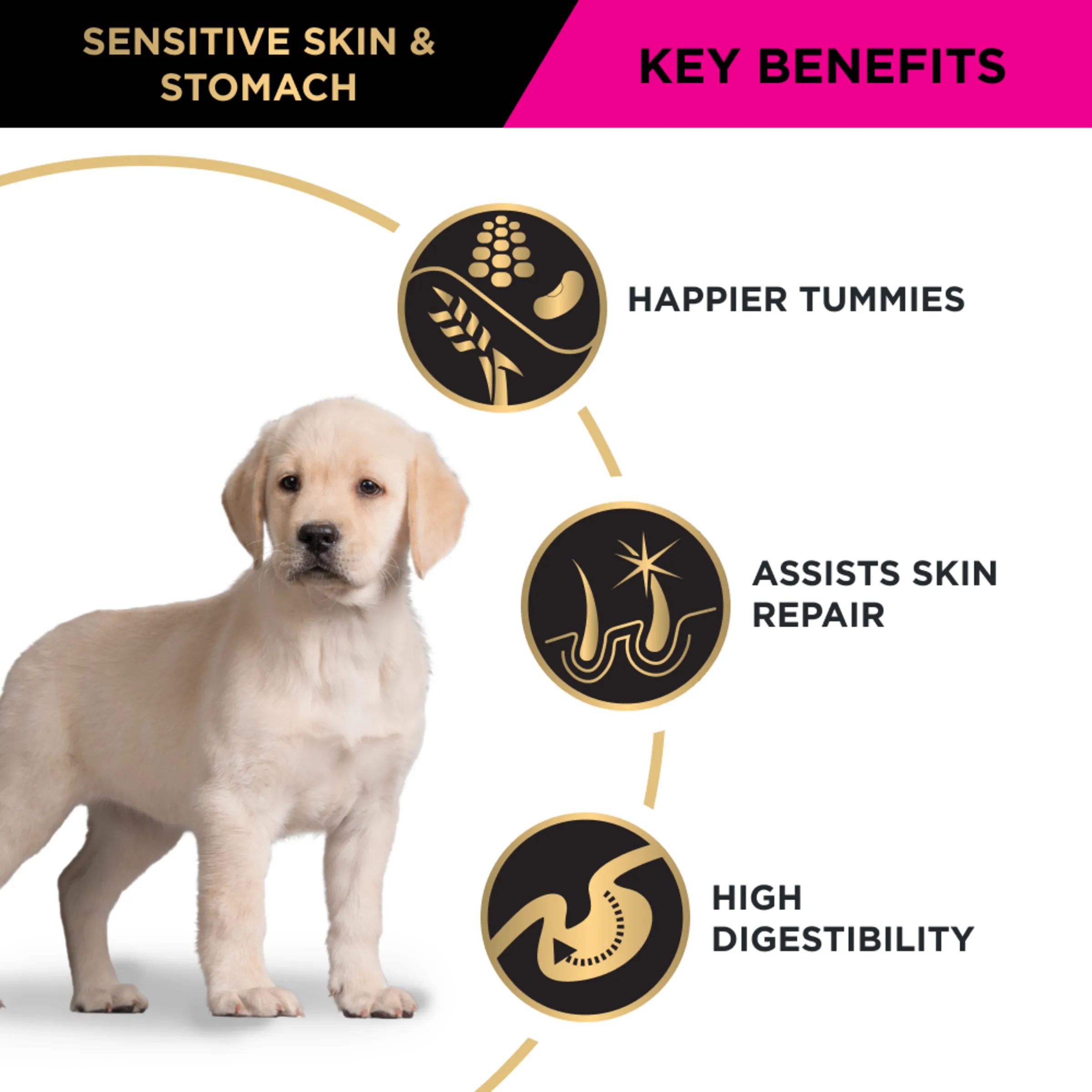 Pro Plan Puppy Sensitive Skin & Stomach Salmon and Mackerel Dry Dog Food