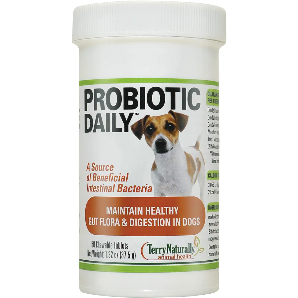 Probiotic Daily 60 chewable tabs by Terry Naturally