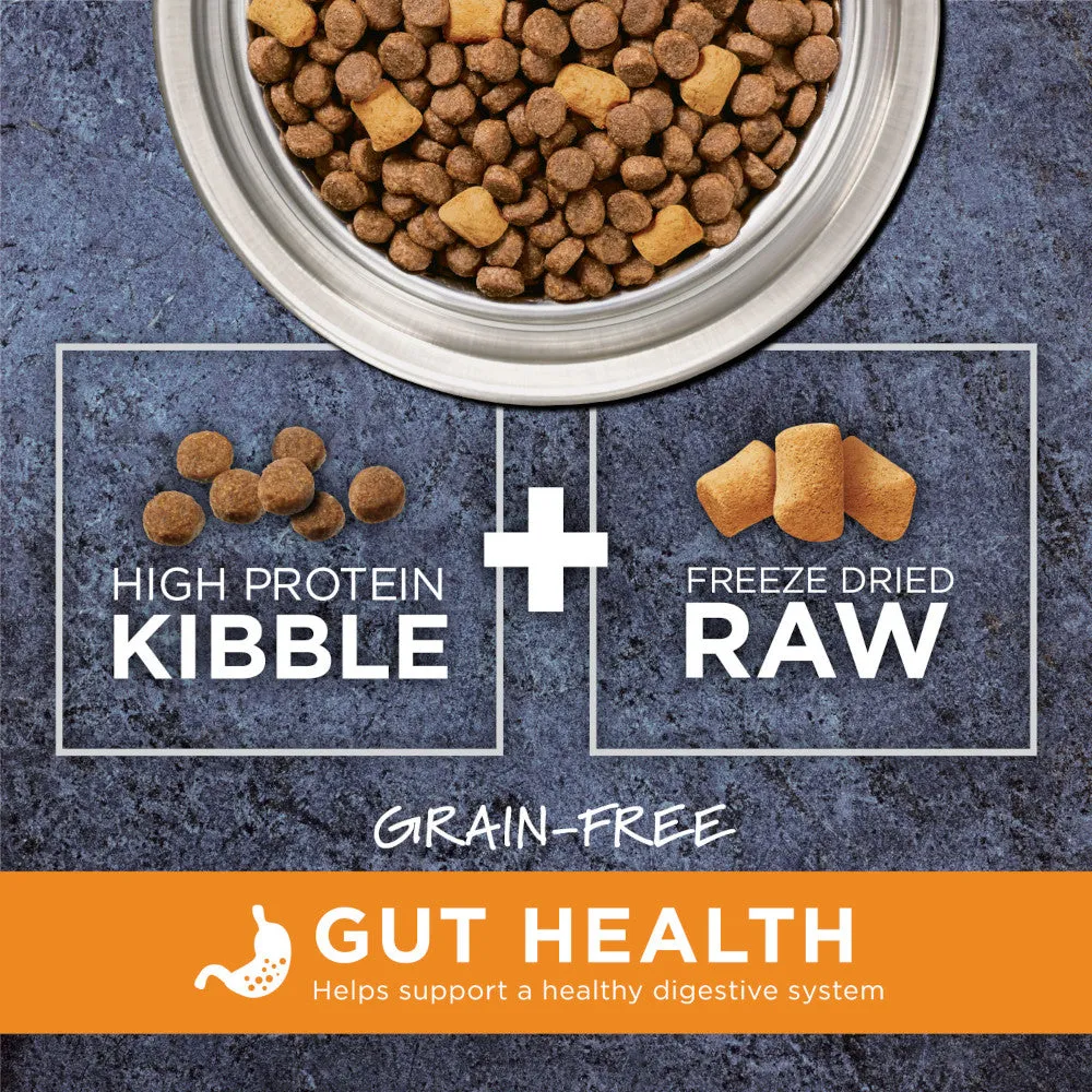 Raw Boost Gut Health Grain Free Kibble   Raw Adult Dog Dry Food - Chicken