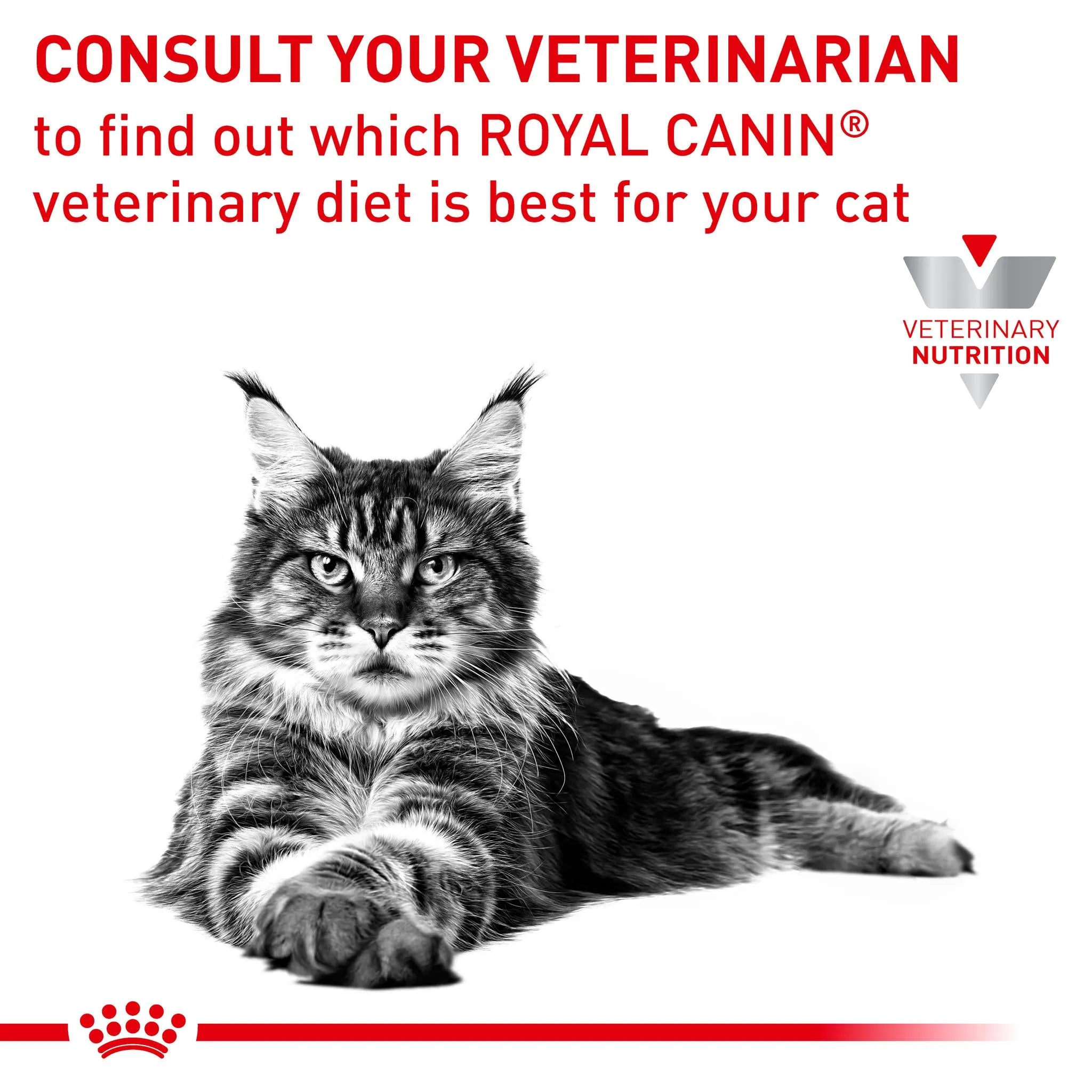 Royal Canin Veterinary Diet Anallergenic Adult Dry Cat Food