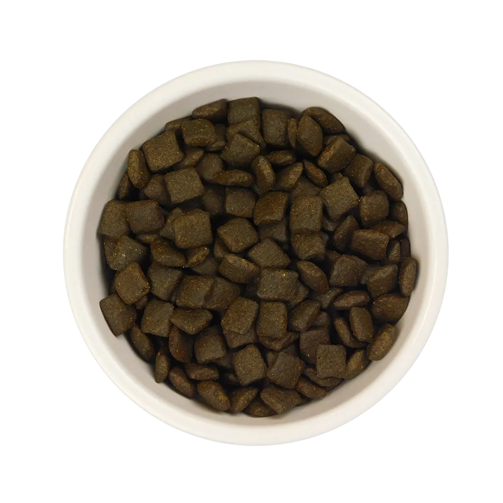 Salmon Dry Dog Food