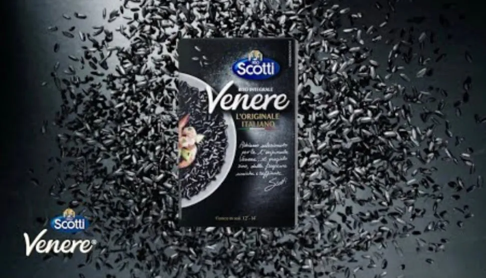 Scotti Venere Rice