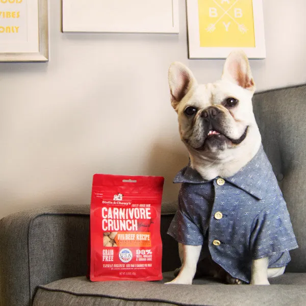 Stella & Chewy's Carnivore Crunch Grain Free Beef Recipe Freeze Dried Raw Dog Treats