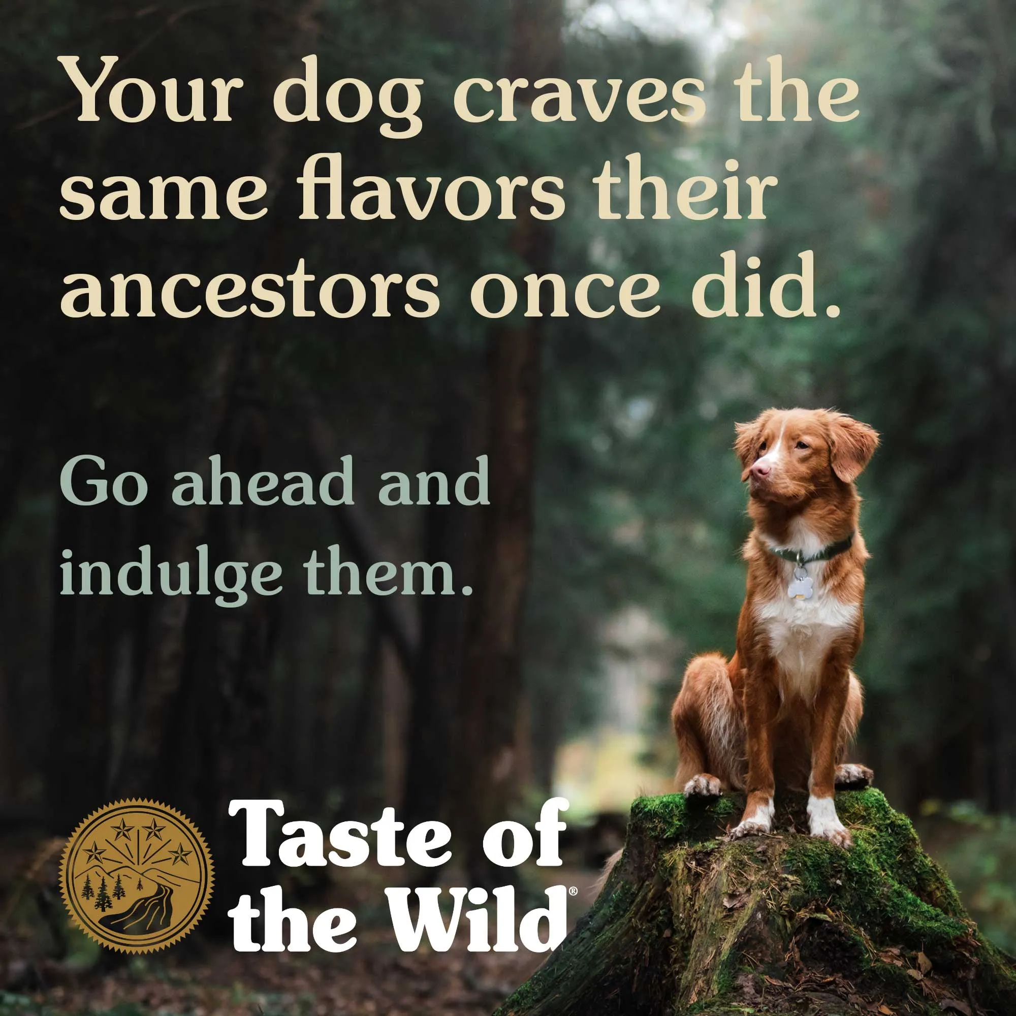 Taste Of The Wild Sierra Mountain Grain-Free Dog Food