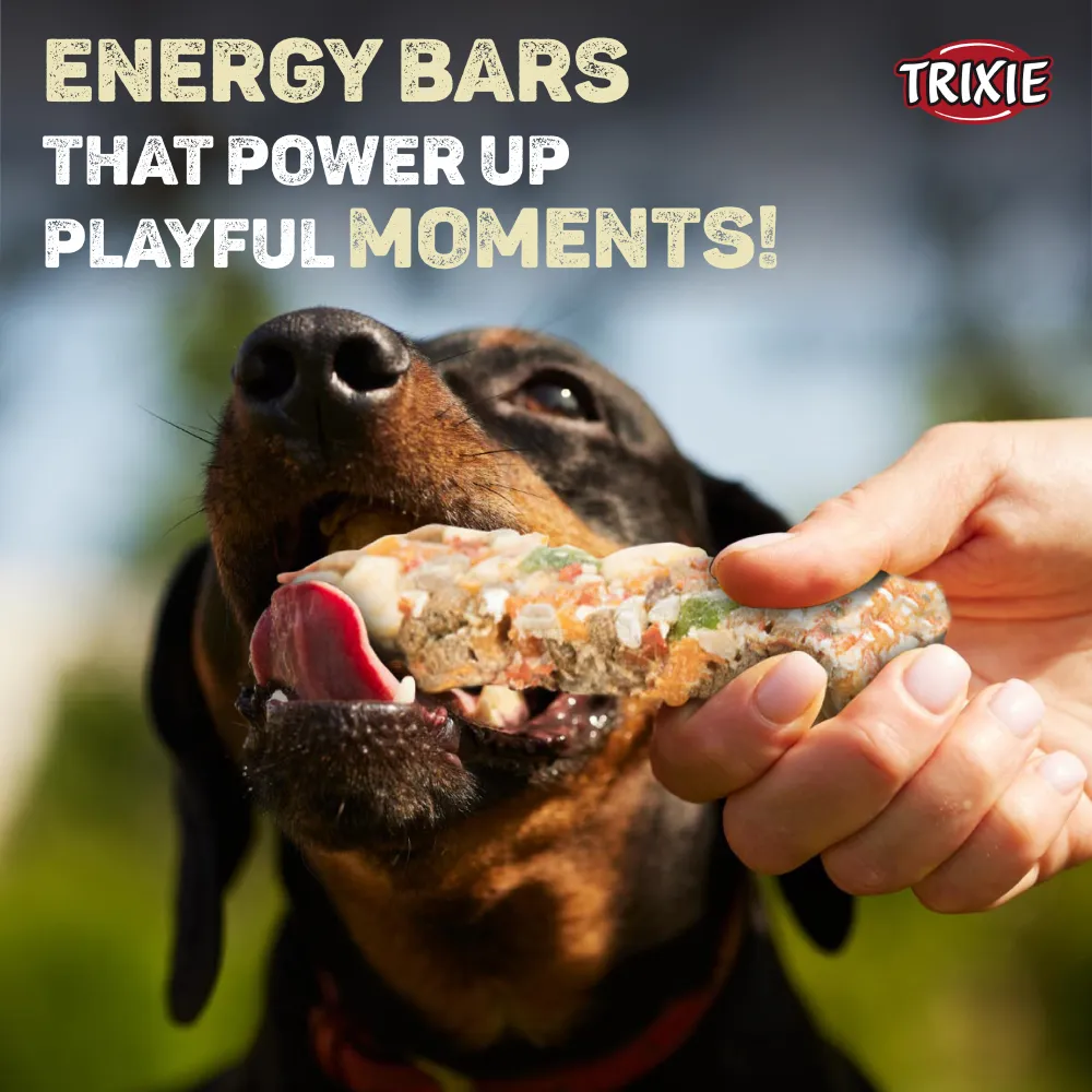 Trixie Fruits and Vegetables Energy Bars and Cheese Chicken Strip Dog Treats Combo